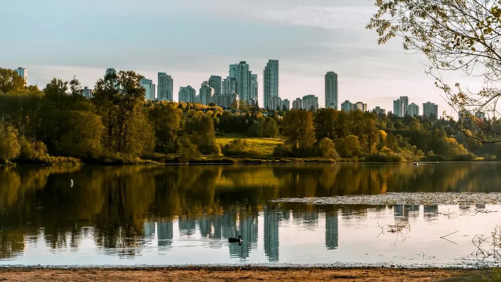 Burnaby real estate