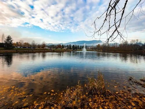 Coquitlam real estate